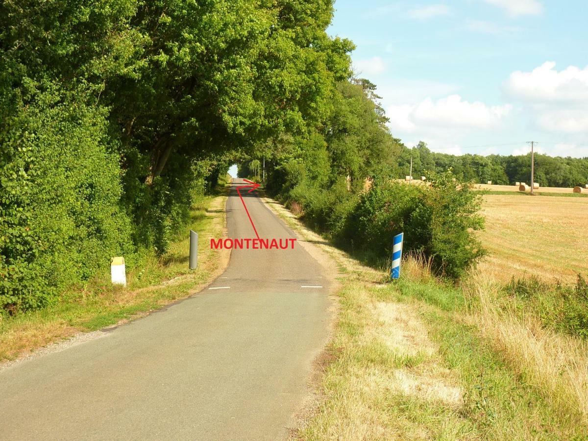 Montenaut Angles-sur-l'Anglin ภายนอก รูปภาพ